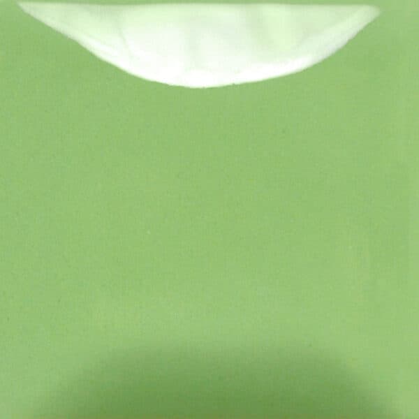 FN058P - Green Apple - Pint - Imagen 1