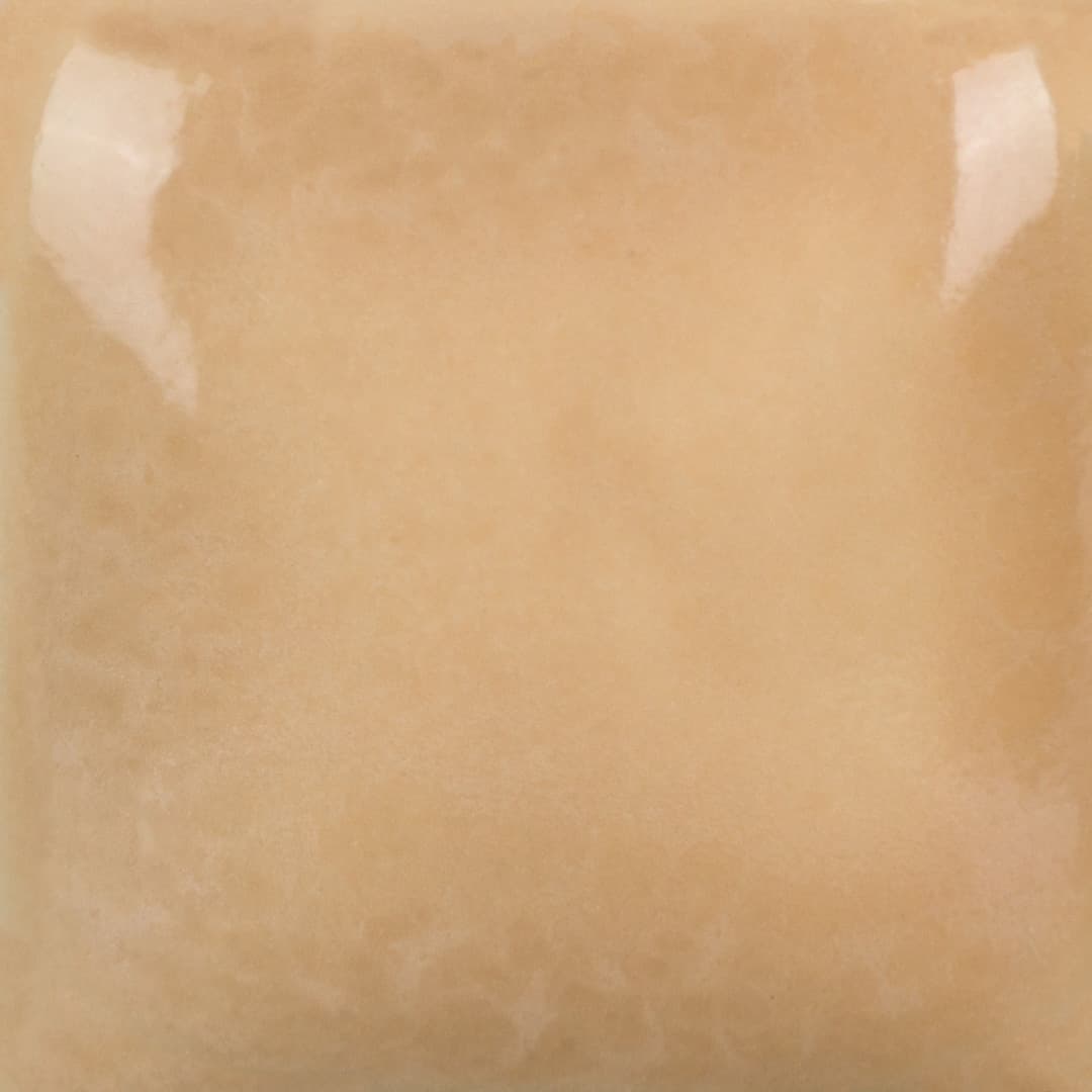 FN060P - Mushroom - Pint - Imagen 3