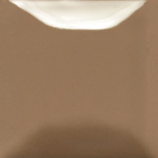 FN060P - Mushroom - Pint - Imagen 1