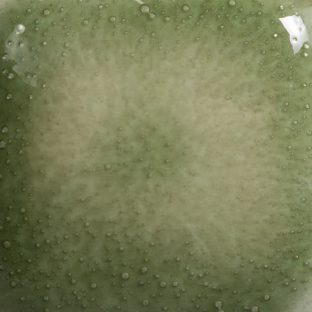 FN231P - Clearly Jade - Pint - Imagen 2