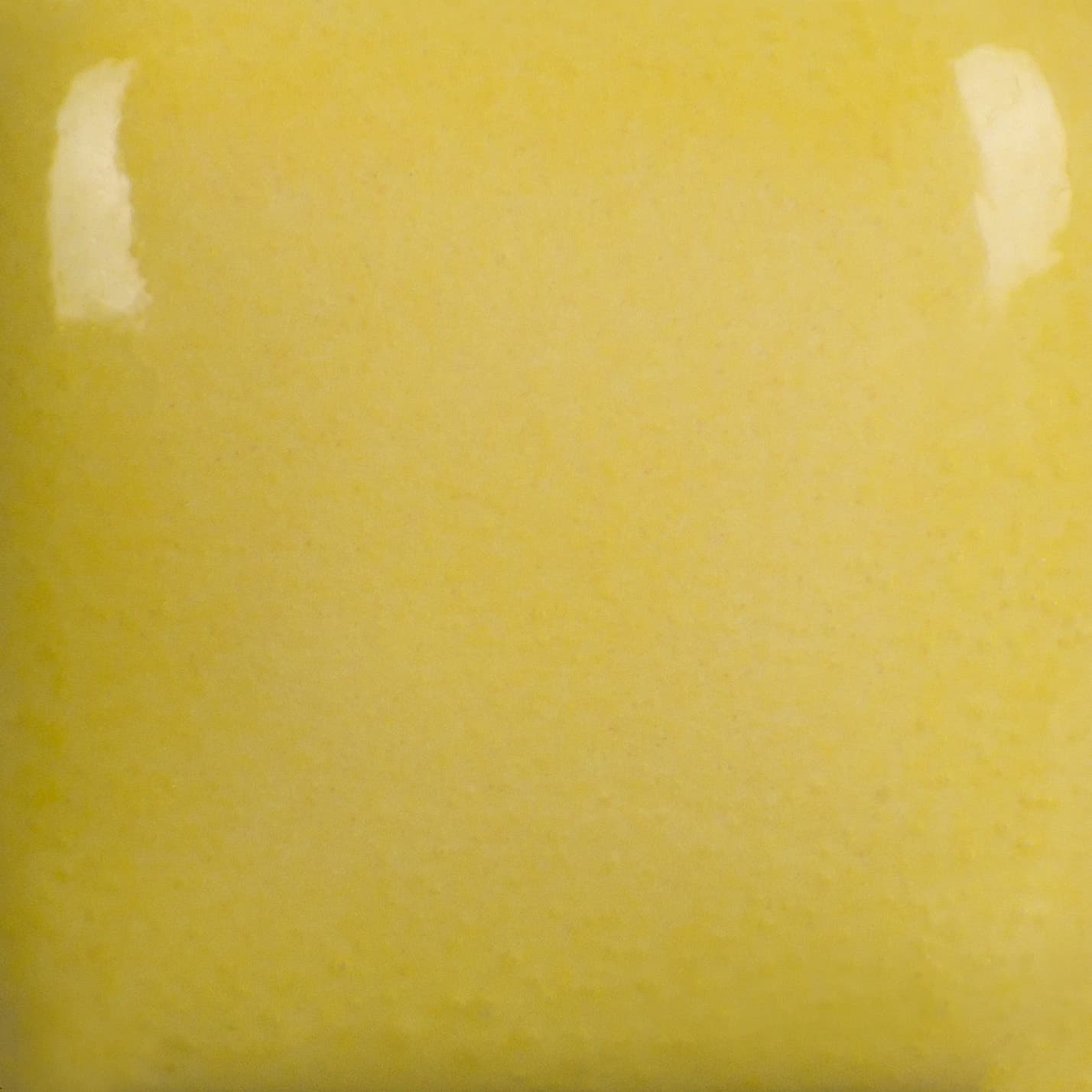 FN232P - Sun Yellow - Pint - Imagen 2