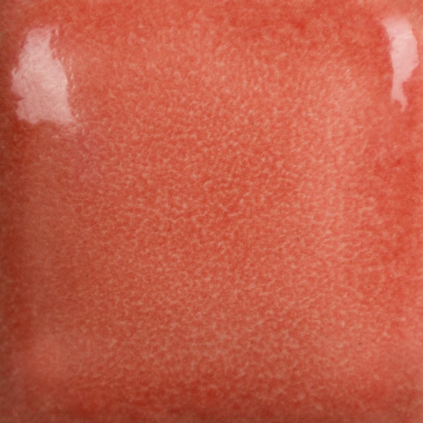 FN233P - Ruby Red - Pint - Imagen 2
