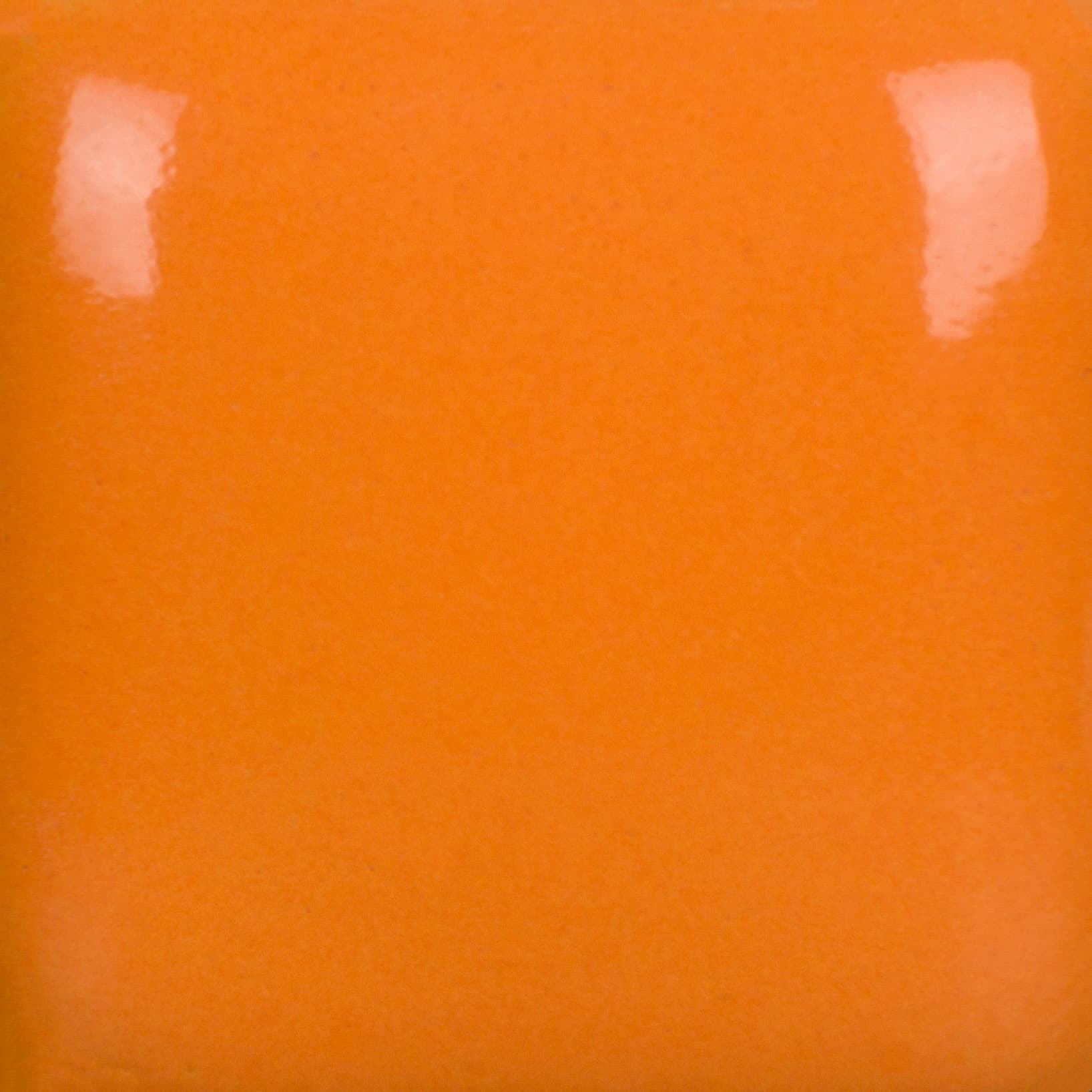 FN240P - Pumpkin Orange - Pint - Imagen 2