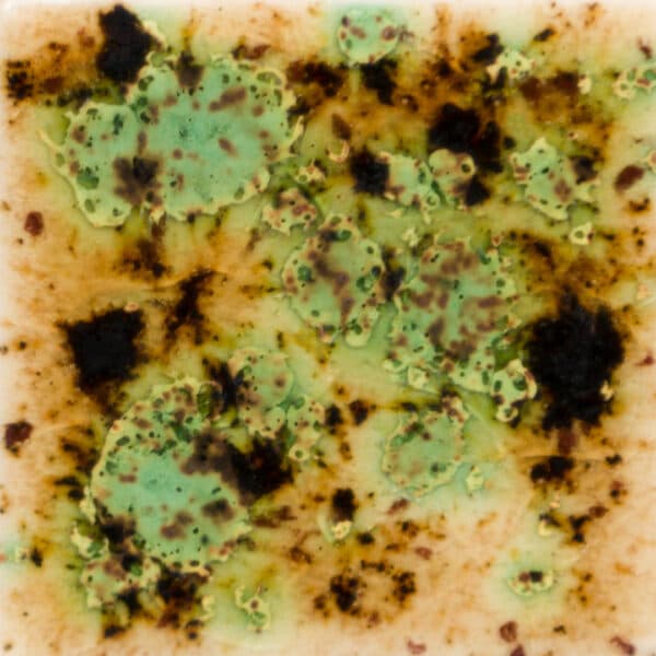 S27094 - Cappuccino Mint - 4 oz - Imagen 1