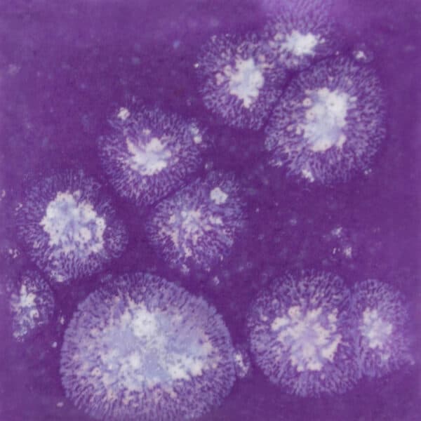 S27234 - Grape Divine - 4 oz - Imagen 1