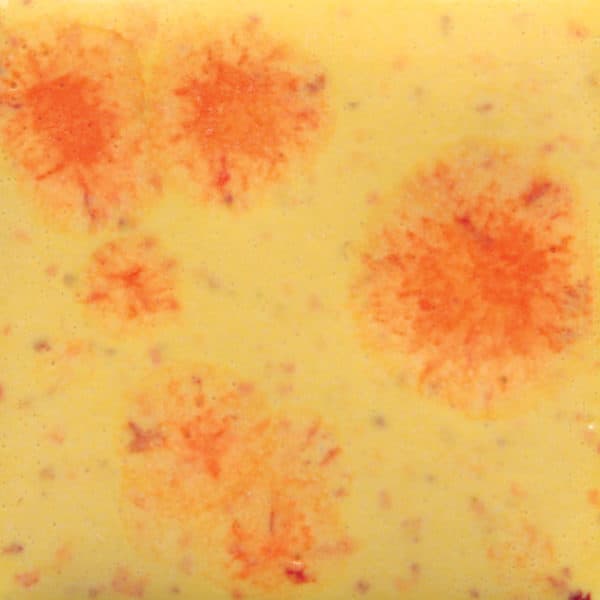 S2729P - Citrus Splash - Pint - Imagen 1