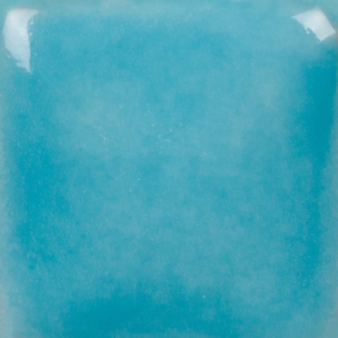 SC009P - Jaded - Pint - Imagen 3