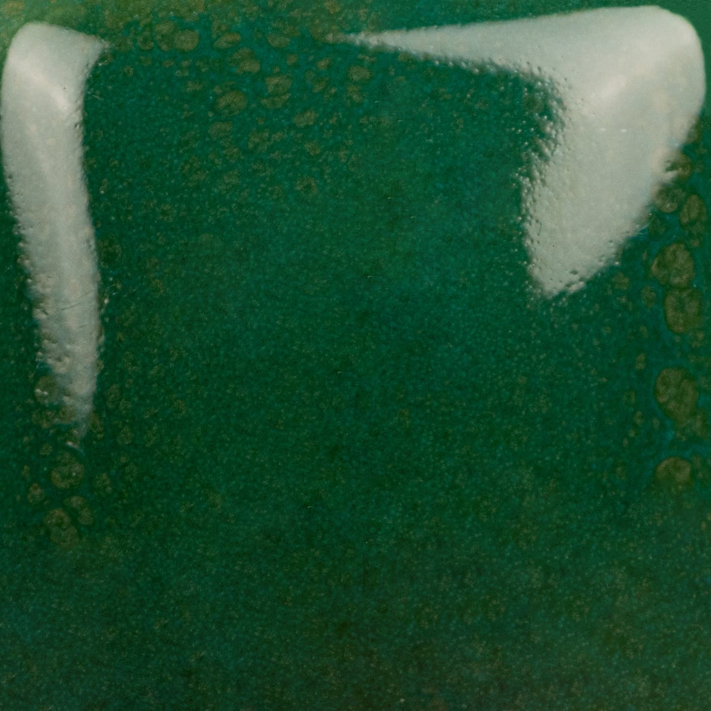 SC010P - Teal Next Time - Pint - Imagen 2