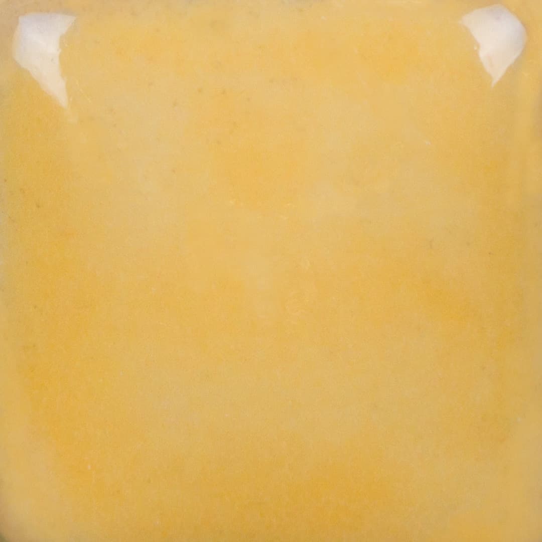 SC024P - Dandelion - Pint - Imagen 3