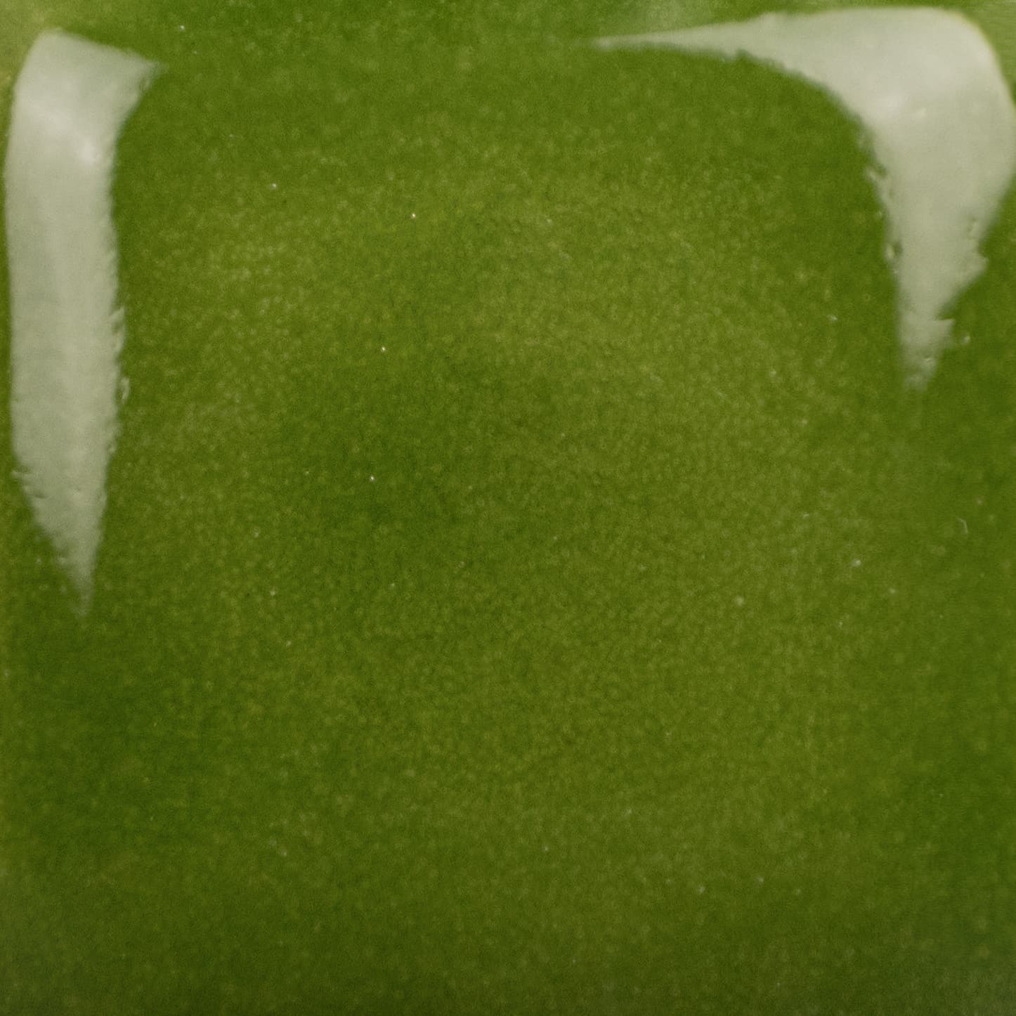 SC0268 - Green Thumb - 8 oz - Imagen 2