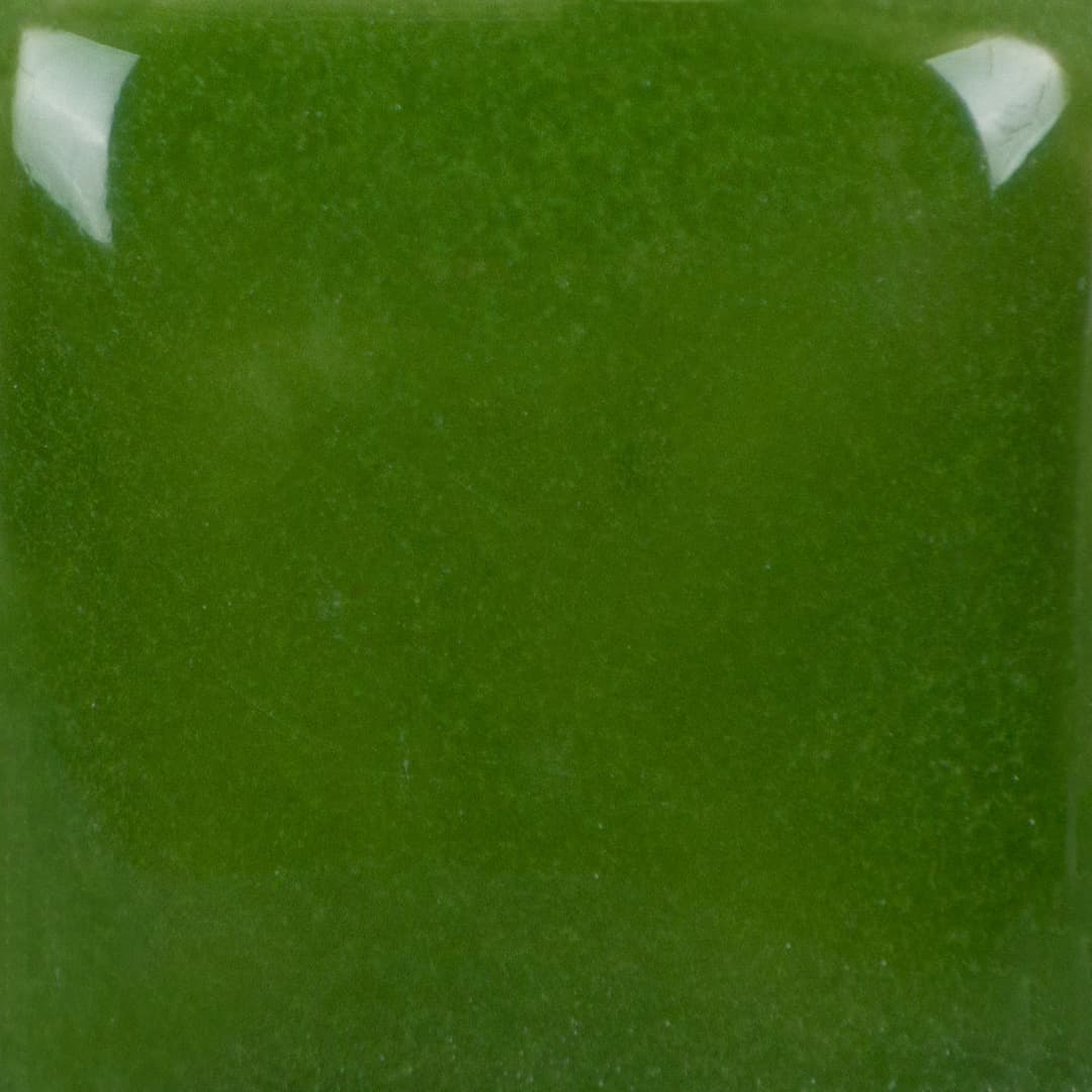 SC0268 - Green Thumb - 8 oz - Imagen 3