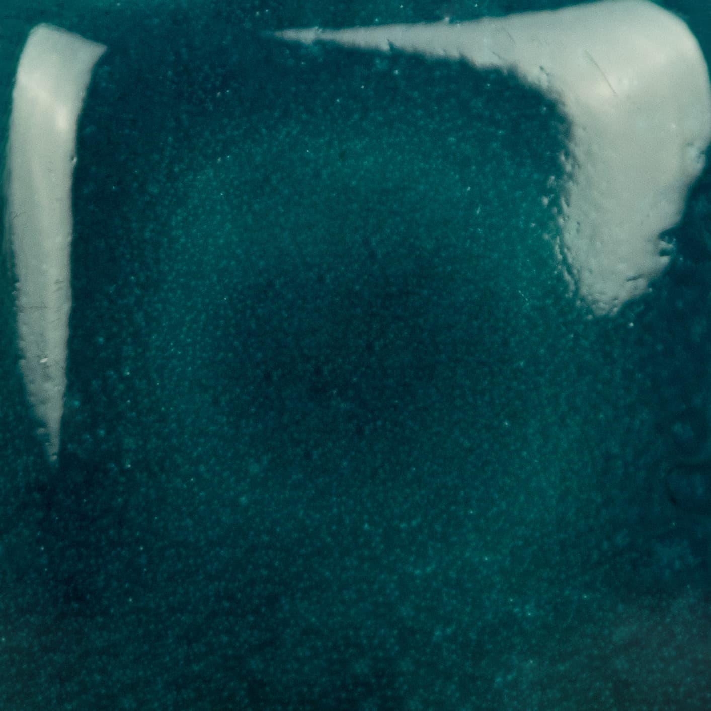 SC029P - Blue Grass - Pint - Imagen 2