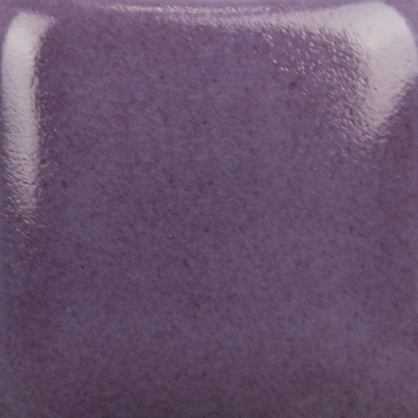 SC040P - Blueberry Hill - Pint - Imagen 2
