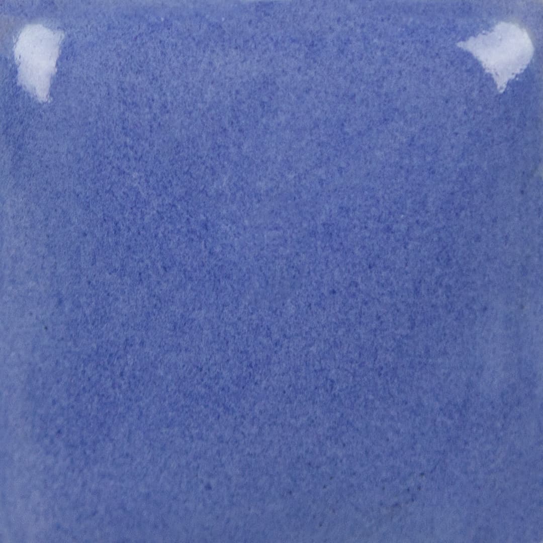 SC040P - Blueberry Hill - Pint - Imagen 3