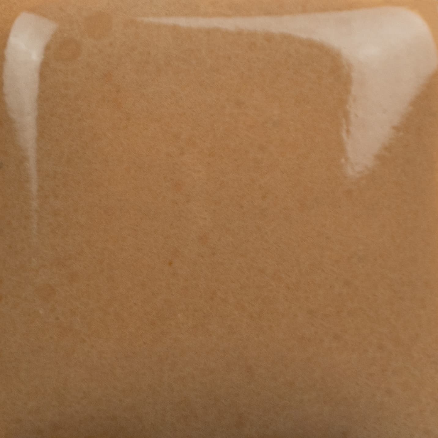 SC041P - Brown Cow - Pint - Imagen 2