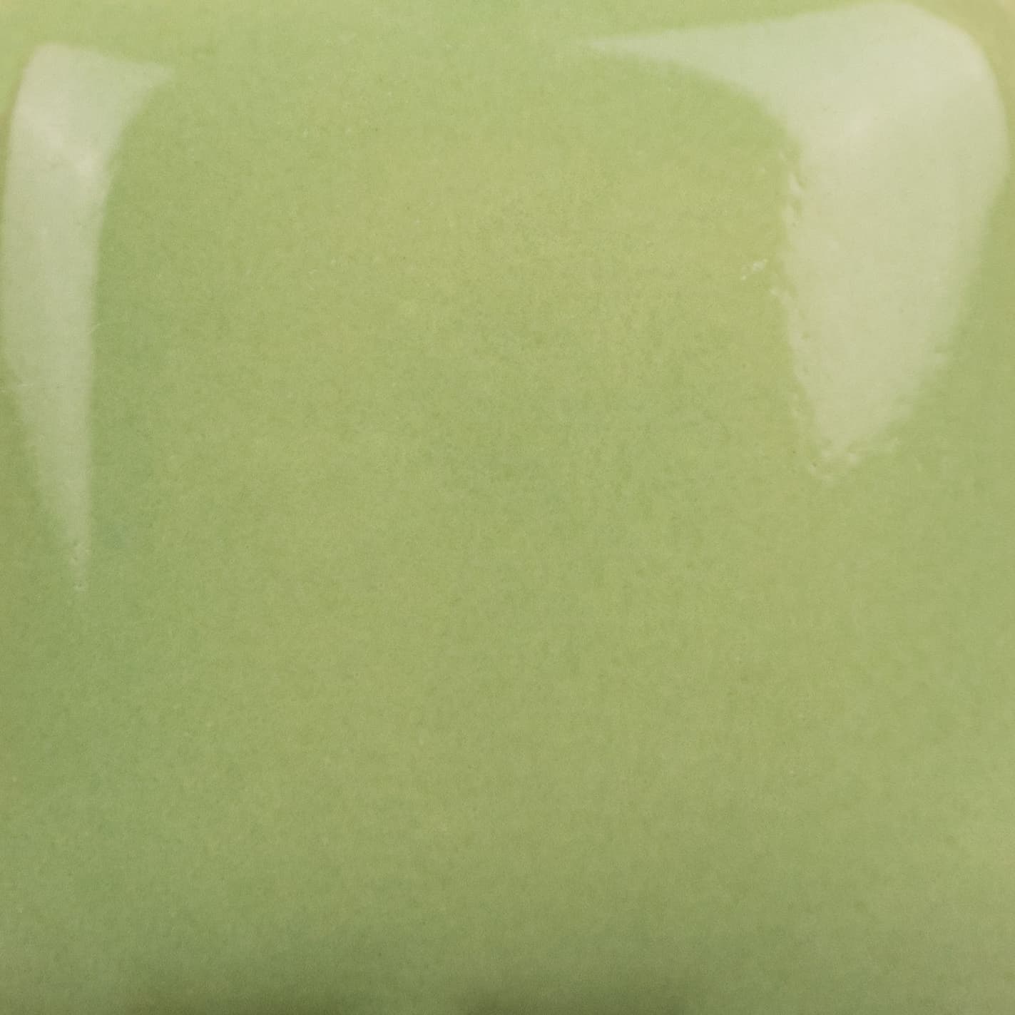 SC0438 - Lettuce Alone - 8 oz - Imagen 2