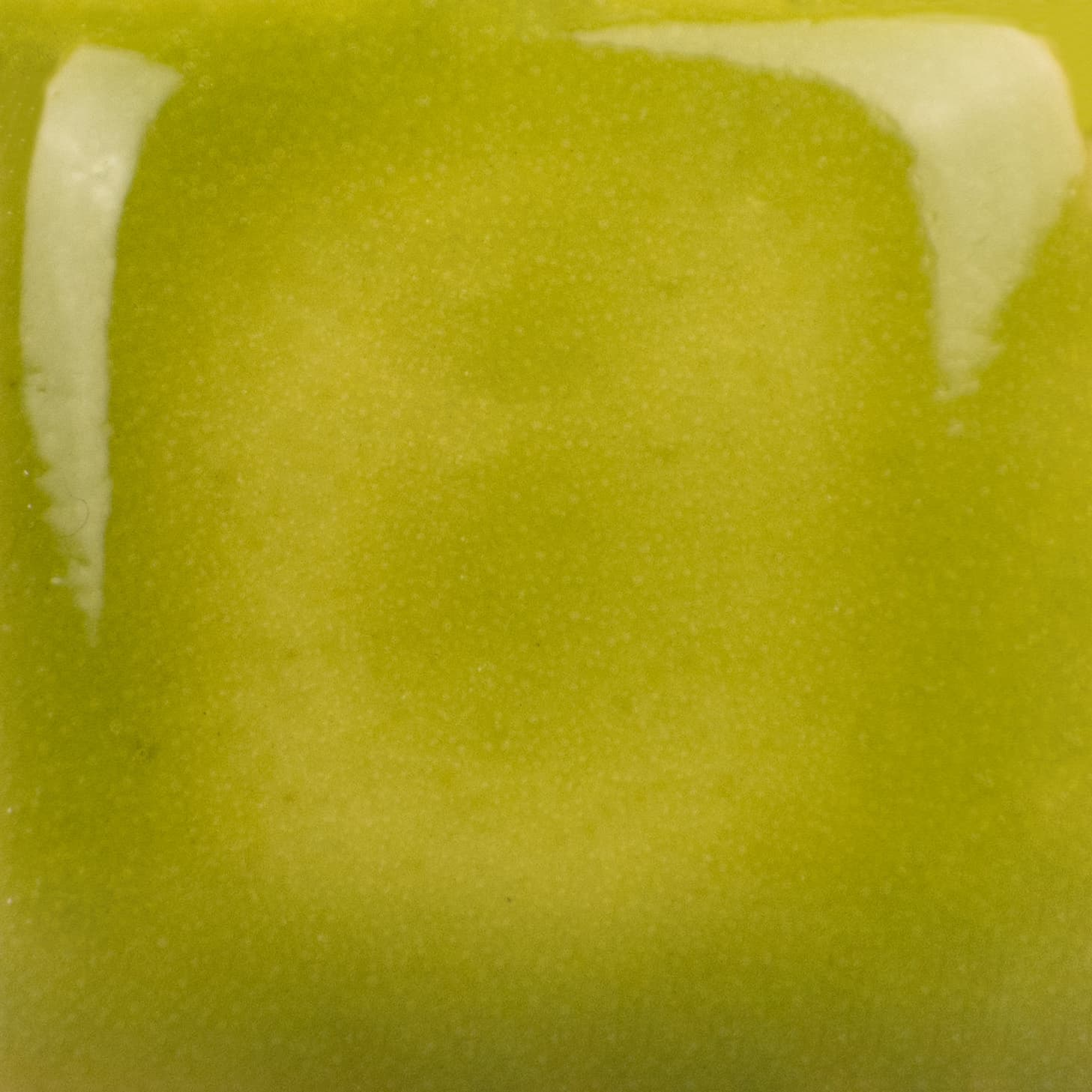 SC052P - Toad-ily Green - Pint - Imagen 2