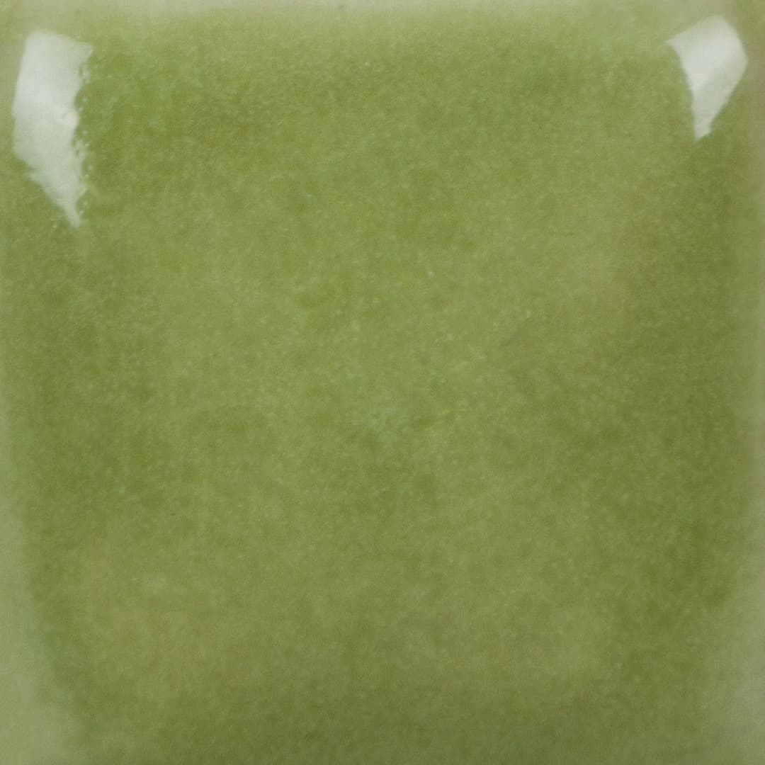 SC052P - Toad-ily Green - Pint - Imagen 3
