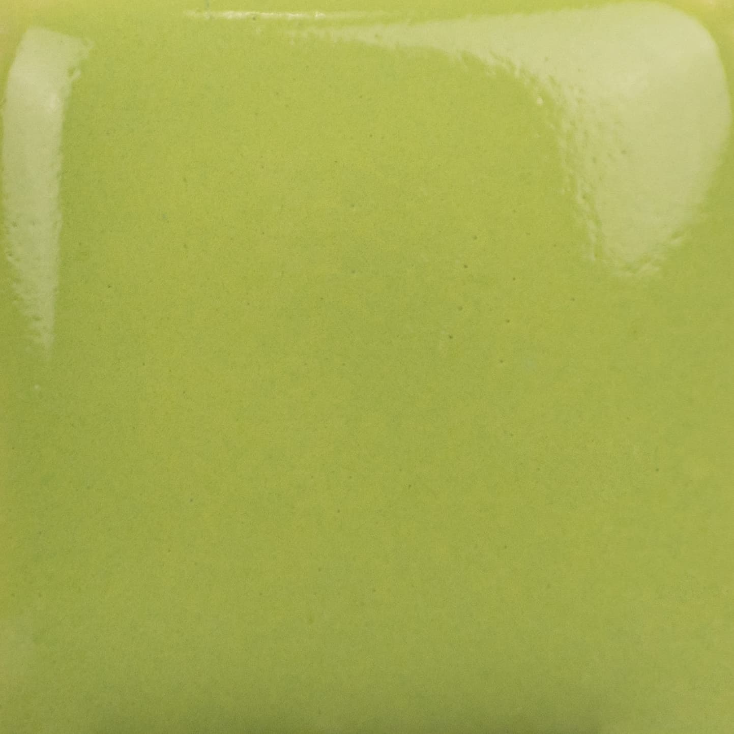 SC078P - Lime Light - Pint - Imagen 2