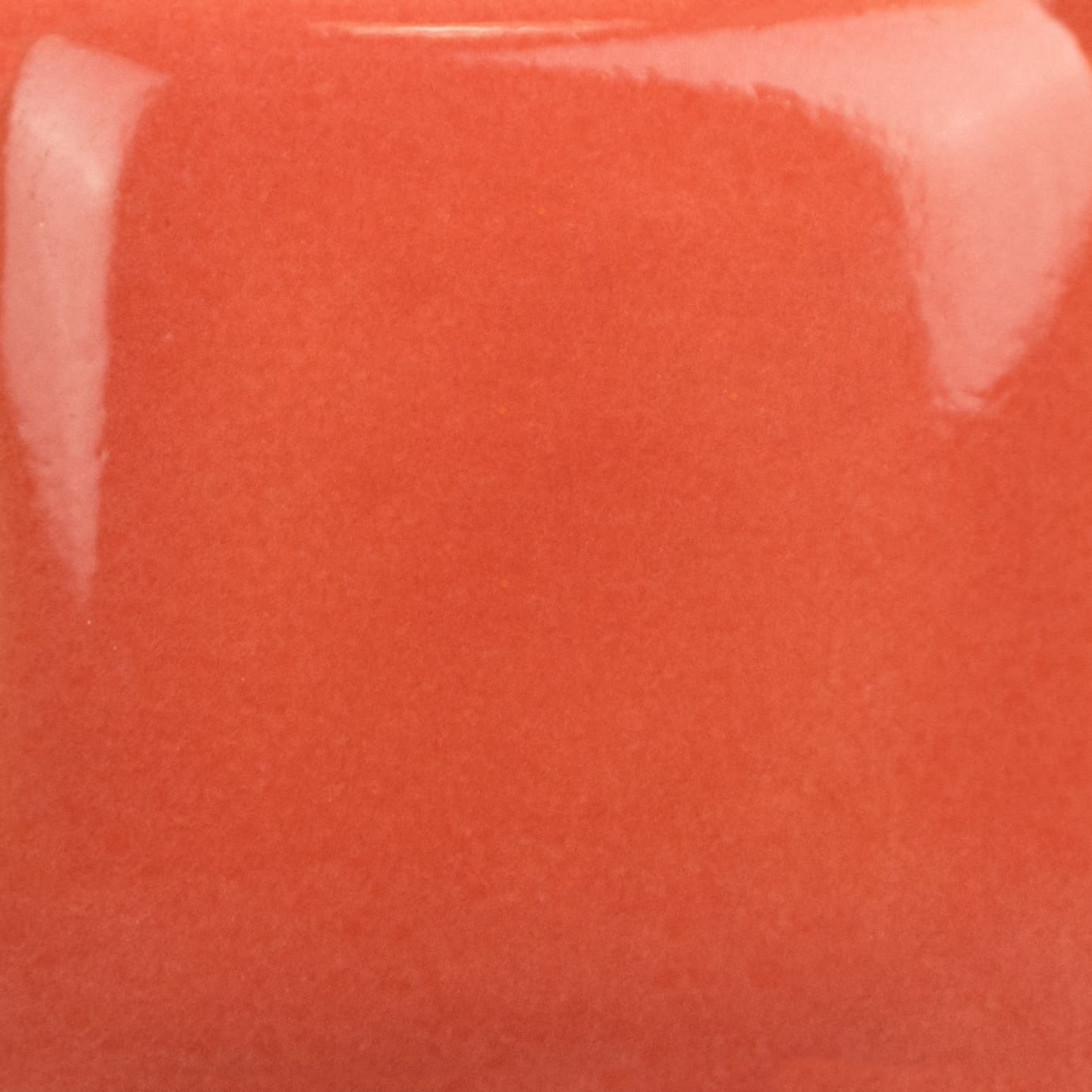 SC0898 - Cutie Pie Coral - 8 oz - Imagen 2