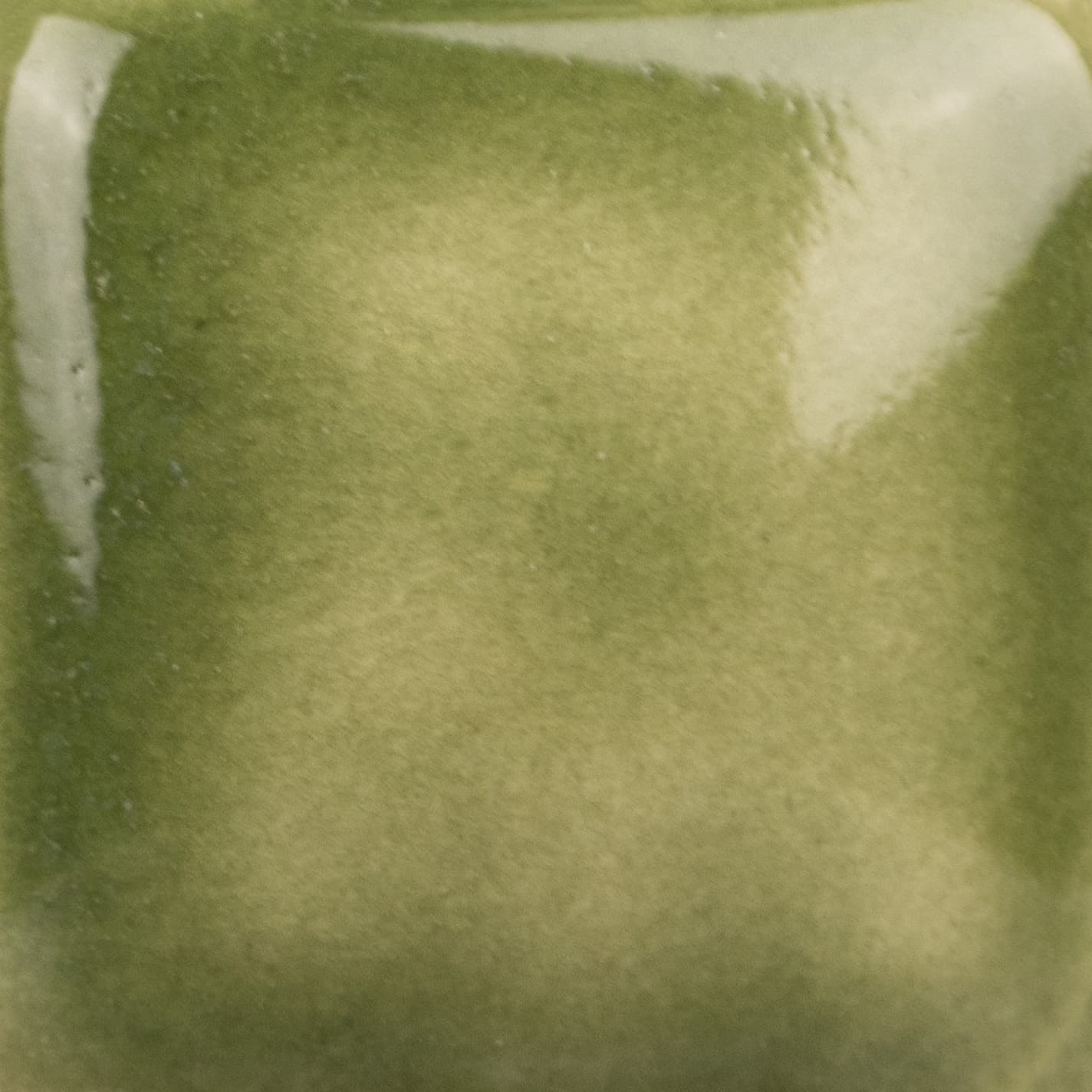 SC098P - Slime Time - Pint - Imagen 2