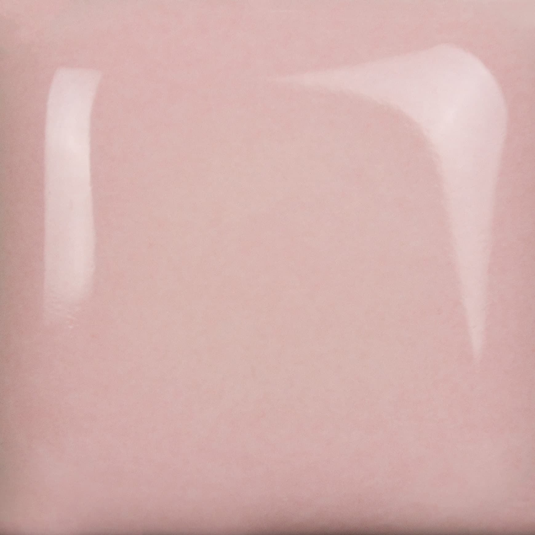 SC100P - Makin Me Blush - Pint - Imagen 2
