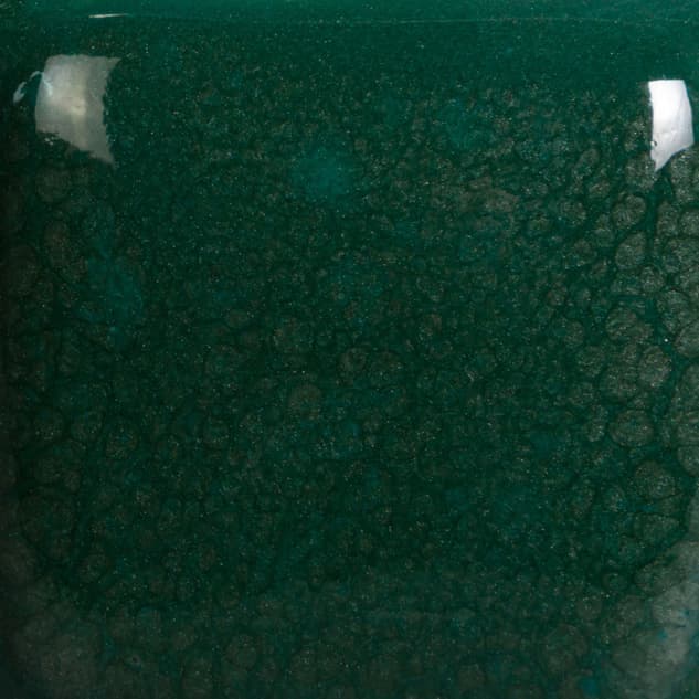 SP2108 - Speckled Teal Next Time - 8 oz - Imagen 2