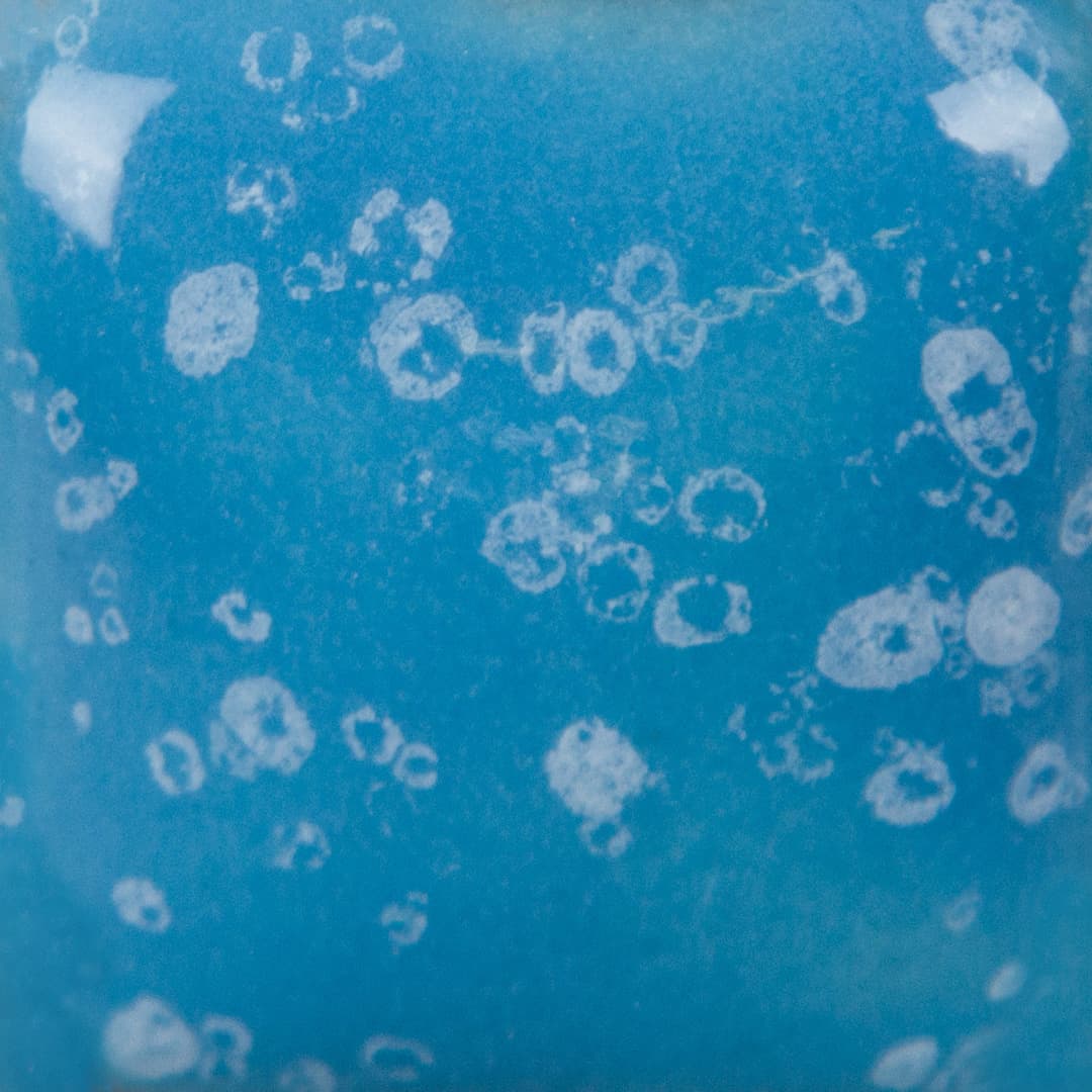 SP211P - Speckled Blue Yonder - Pint - Imagen 3