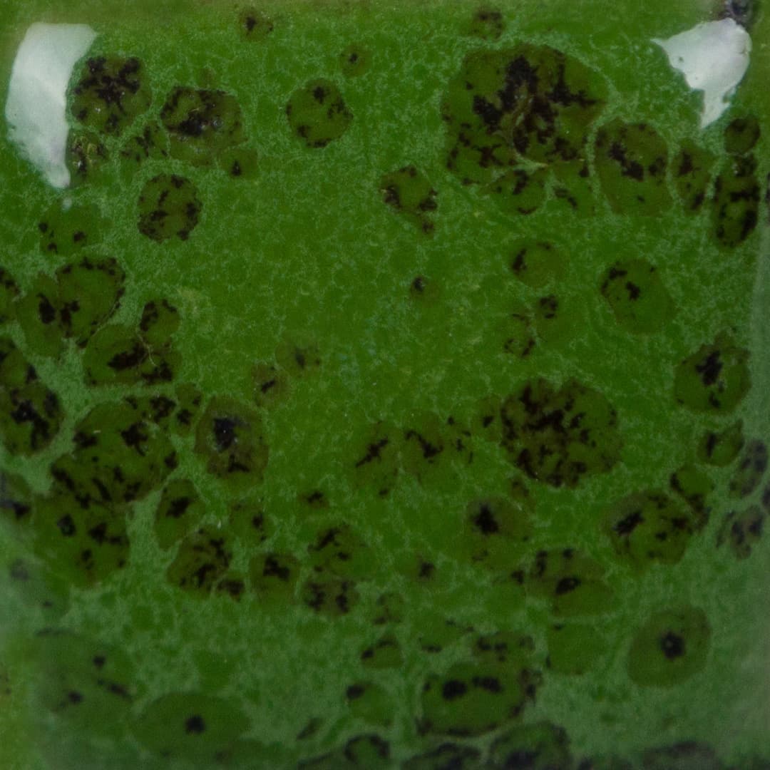 SP226P - Speckled Green Thumb - Pint - Imagen 3