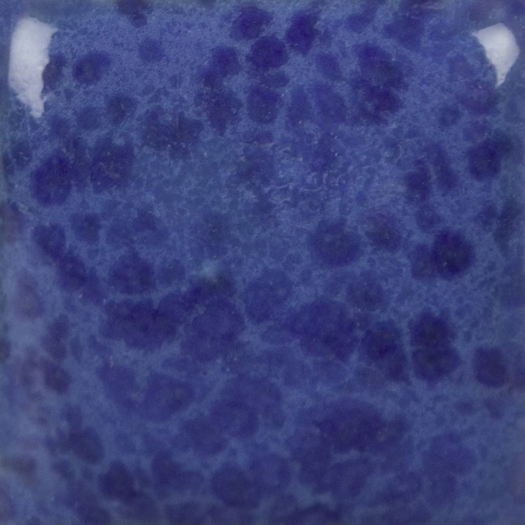 SP231P - Speckled The Blues - Pint - Imagen 3