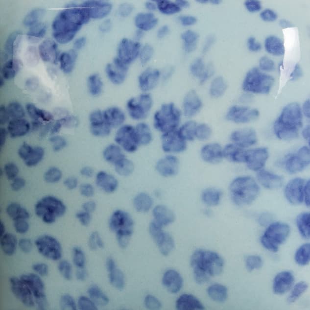 SP2458 - Speckled My Blue Heaven - 8 oz - Imagen 2