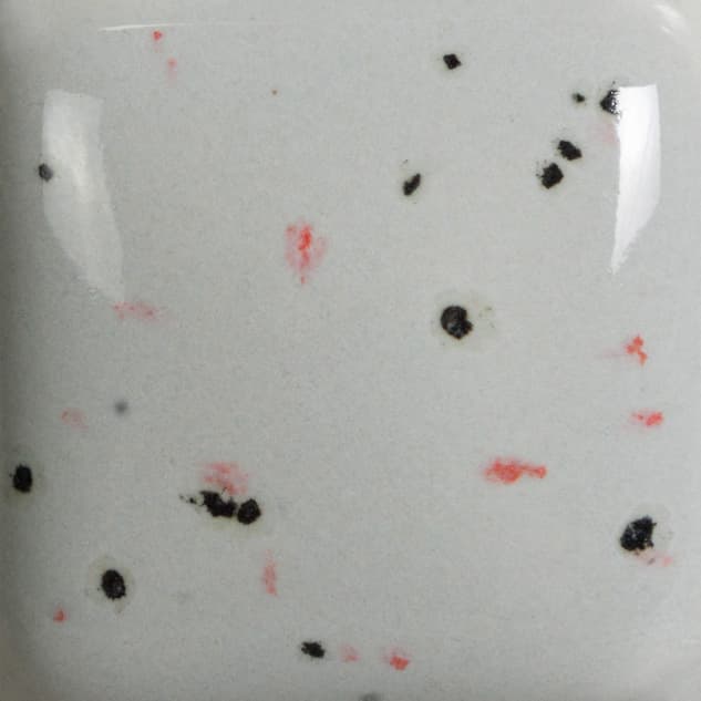 SP260P - Speckled Silver Lining - Pint - Imagen 2