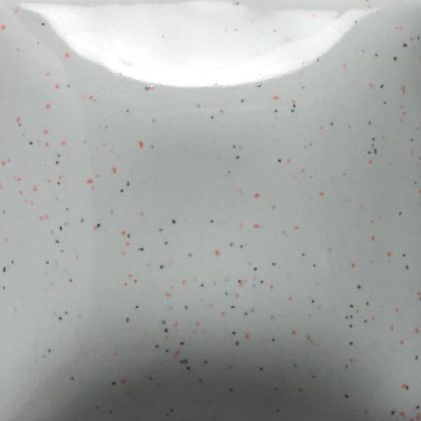 SP260P - Speckled Silver Lining - Pint - Imagen 1