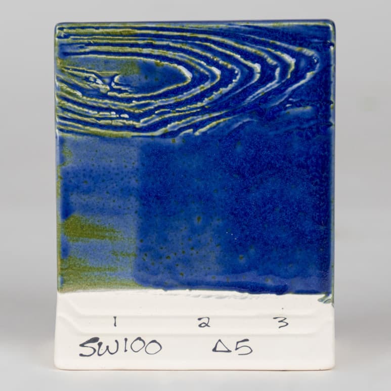 SW100P - Blue Surf - Pint - Imagen 6