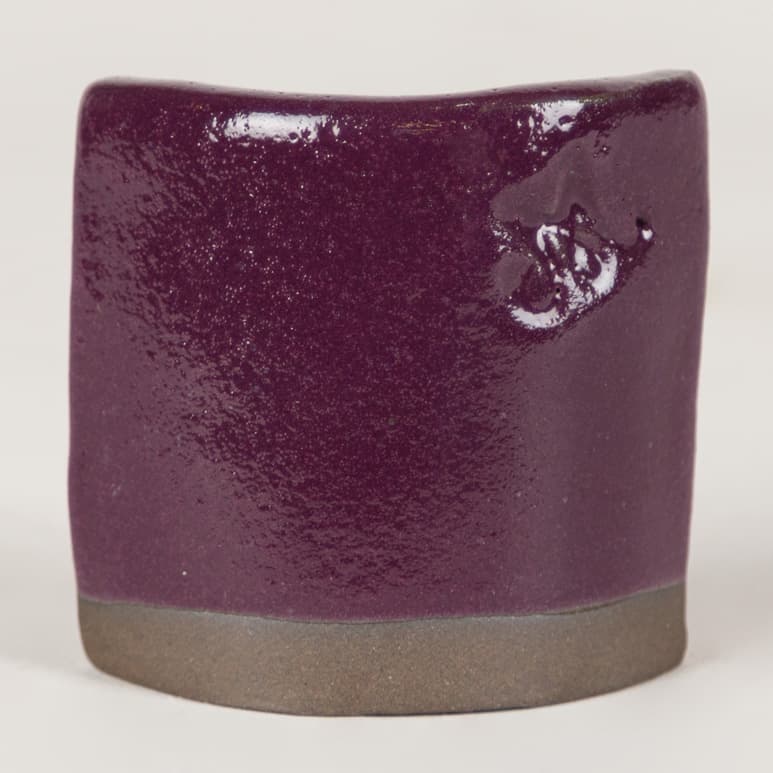 SW134P - Eggplant - Pint - Imagen 5