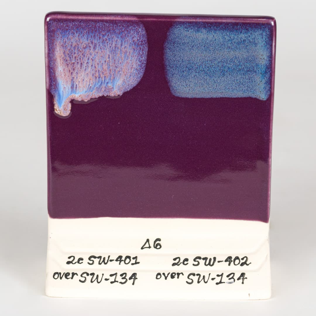 SW134P - Eggplant - Pint - Imagen 9