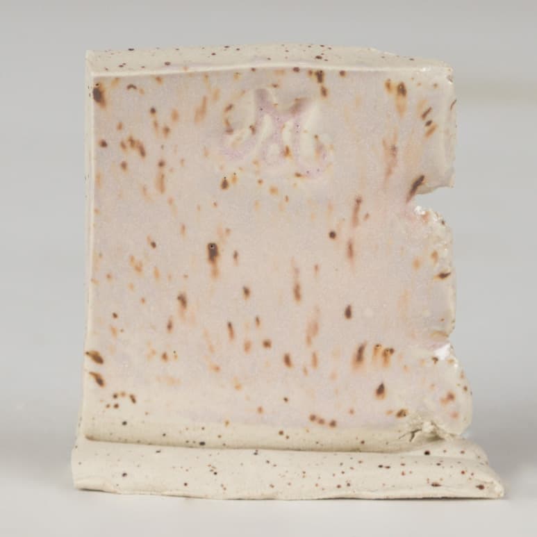 SW143P - Abalone - Pint - Imagen 3