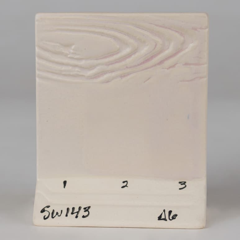 SW143P - Abalone - Pint - Imagen 7