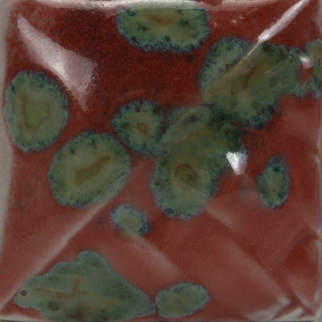 SW151P - Olive Float - Pint - Imagen 2