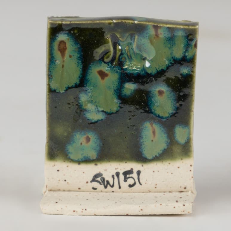 SW151P - Olive Float - Pint - Imagen 3
