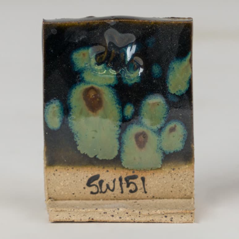 SW151P - Olive Float - Pint - Imagen 4