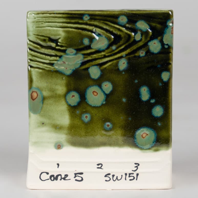 SW151P - Olive Float - Pint - Imagen 6
