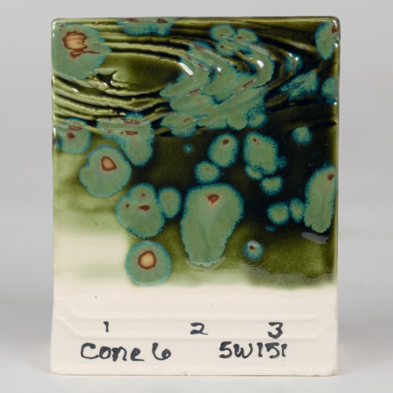 SW151P - Olive Float - Pint - Imagen 7