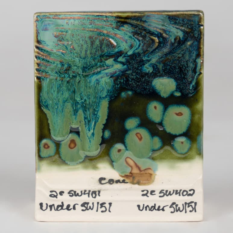 SW151P - Olive Float - Pint - Imagen 9
