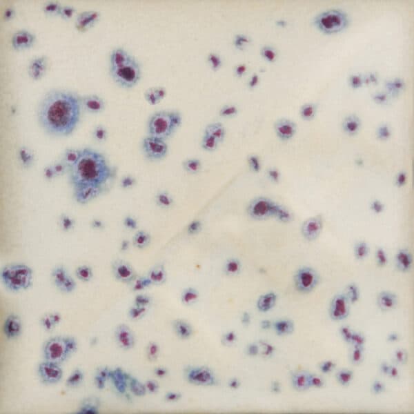 SW153P - Indigo Rain - Pint - Imagen 1