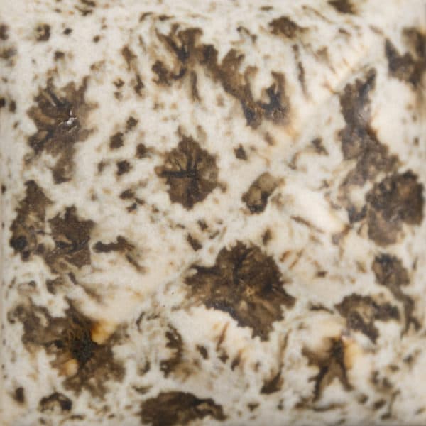 SW155P - Winter Wood - Pint - Imagen 1