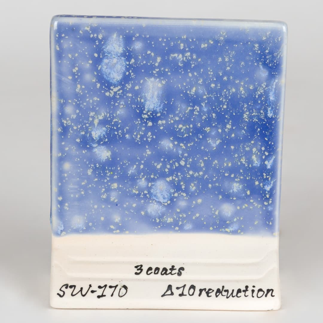 SW170P - Blue Hydrangea - Pint - Imagen 12