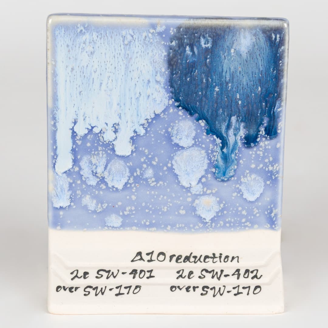 SW170P - Blue Hydrangea - Pint - Imagen 13
