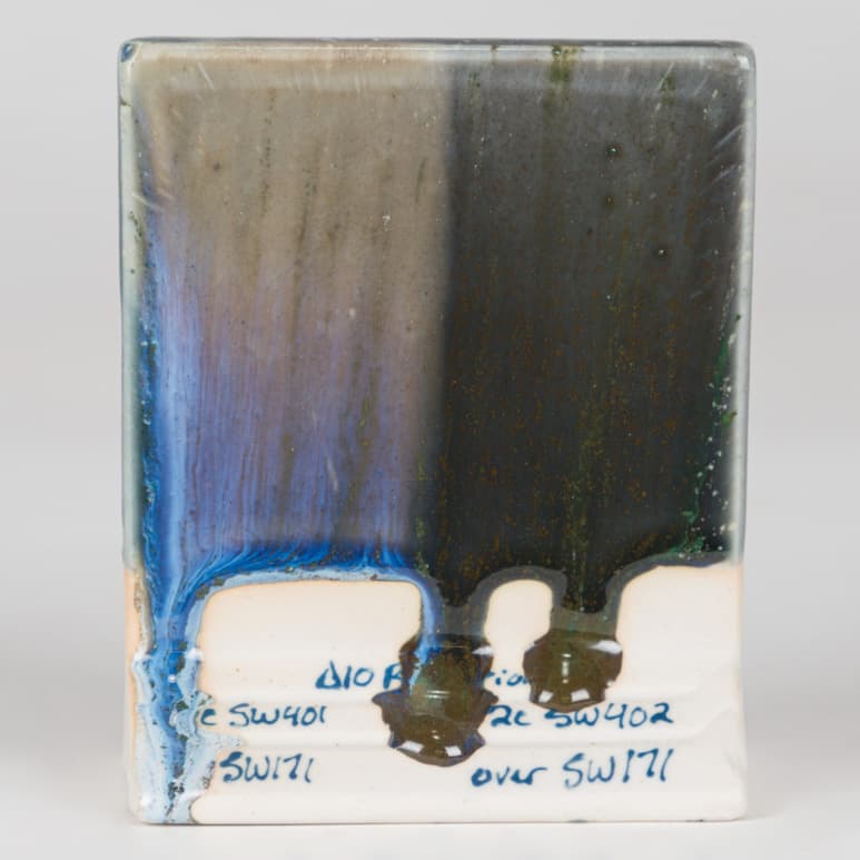 SW171P - Enchanted Forest - Pint - Imagen 11