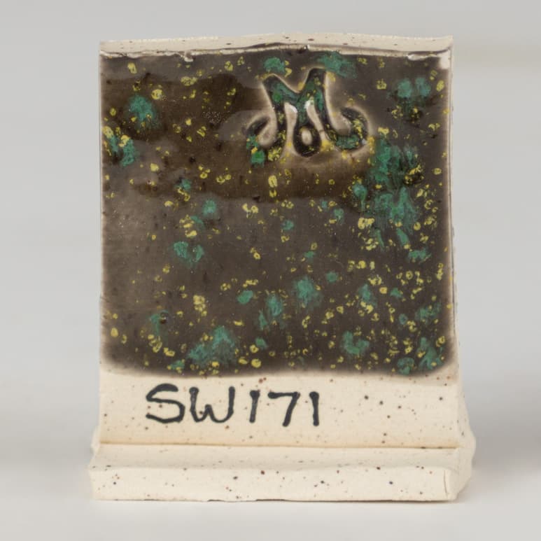 SW171P - Enchanted Forest - Pint - Imagen 3